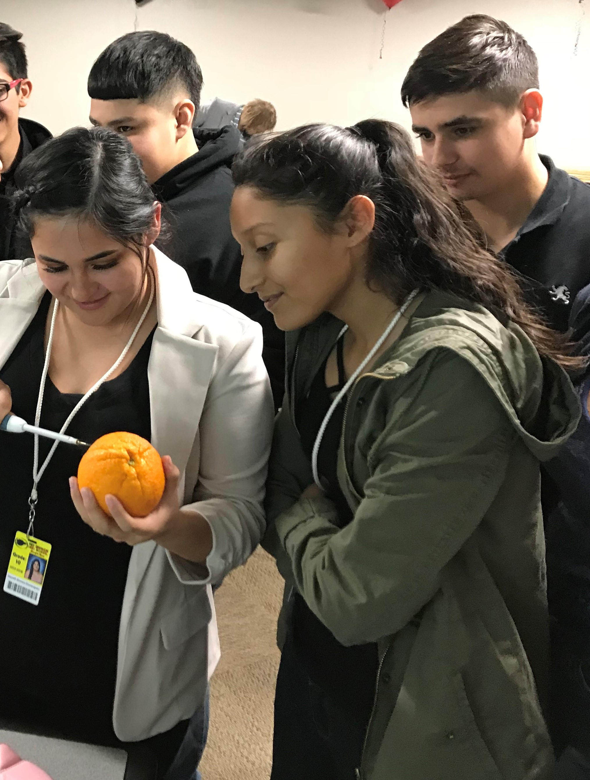 Groundhog Job Shadow Week 2020